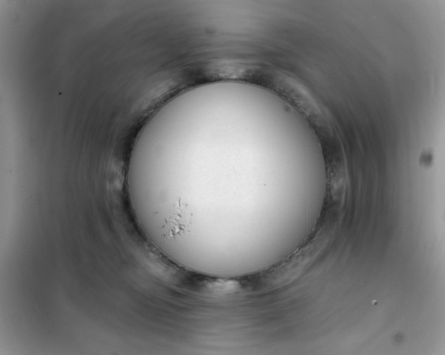 X0000101980374200808011105