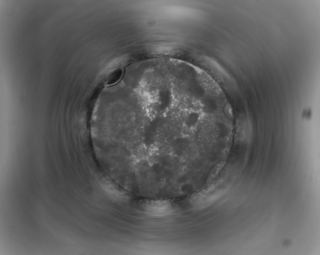 X0000101980377200808011105