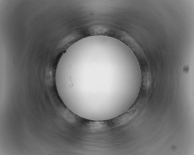 X0000101980378200808011105