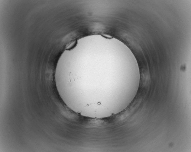 X0000101980379200808011105