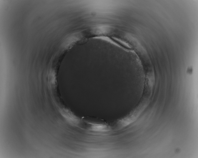 X0000101980380200808011105