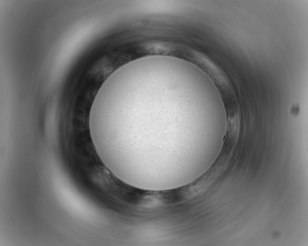 X0000101980381200808011105