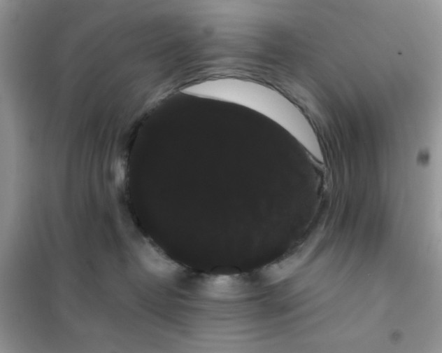 X0000101980382200808011105