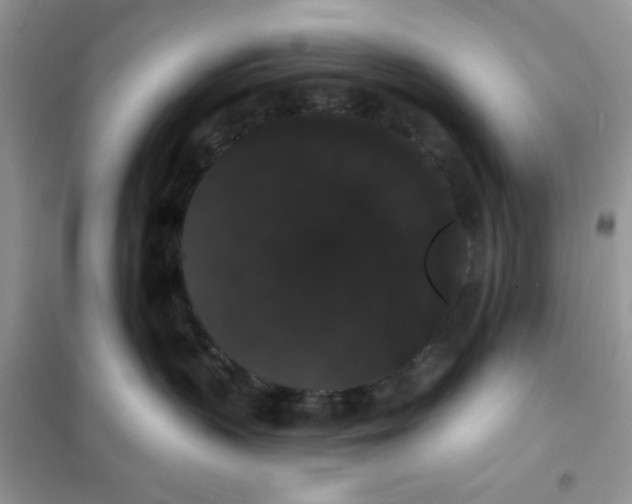 X0000101980383200808011105