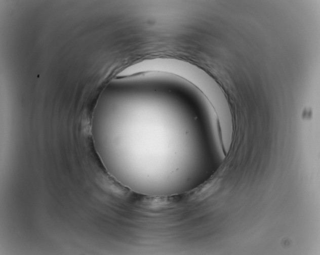 X0000101980384200808011105