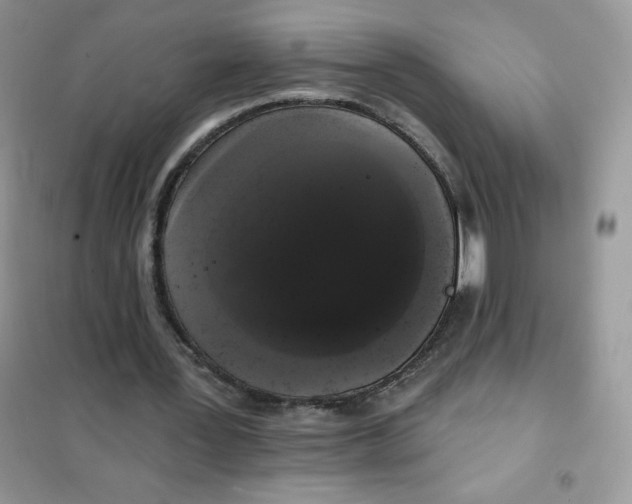 X0000101980387200808011105