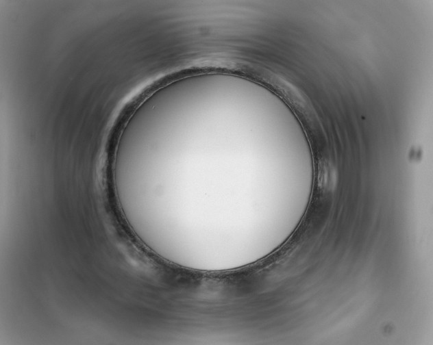 X0000101980388200808011105