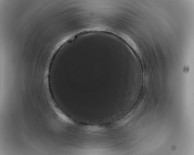 X0000101980389200808011105