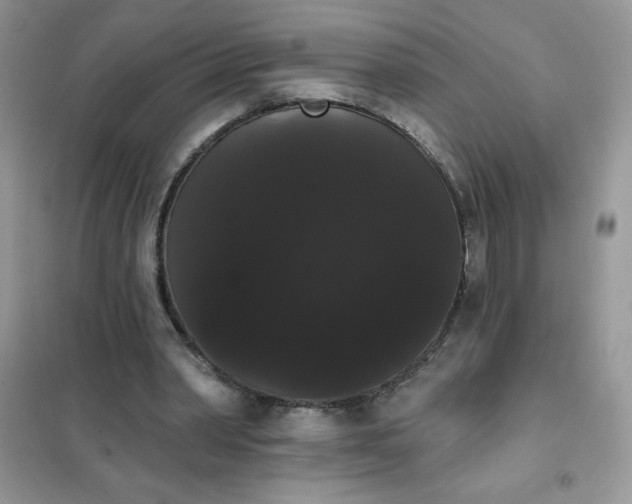 X0000101980390200808011105