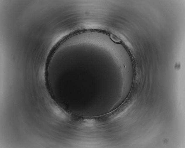 X0000101980391200808011105