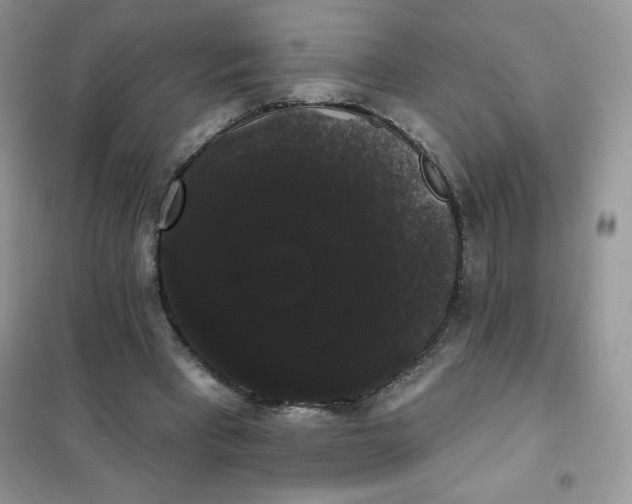 X0000101980393200808011104