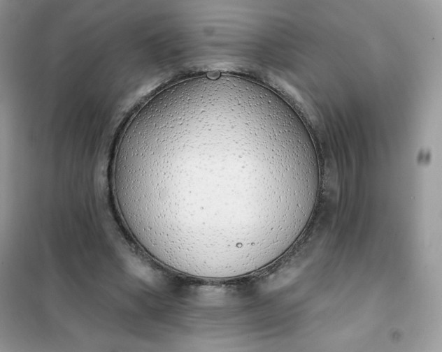 X0000101980394200808011104