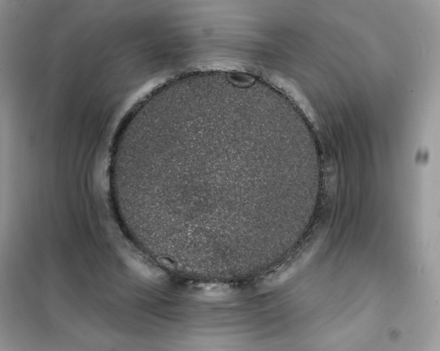 X0000101980395200808011104