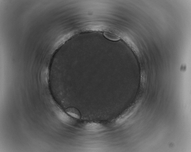 X0000101980397200808011104