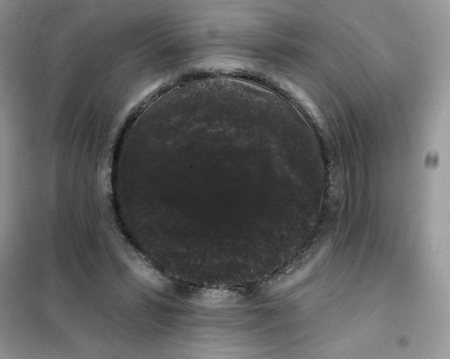 X0000101980399200808011104