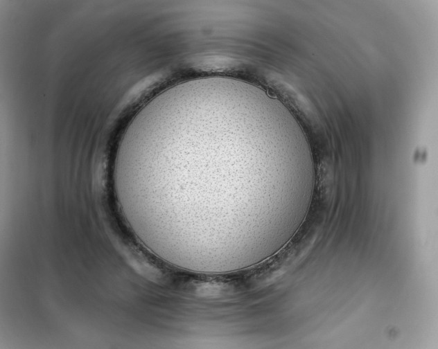 X0000101980400200808011104