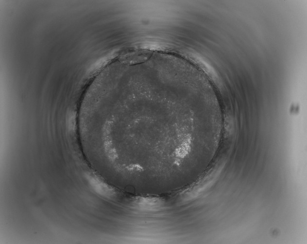 X0000101980401200808011104