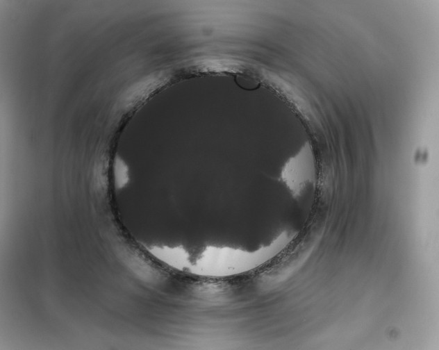 X0000101980402200808011104