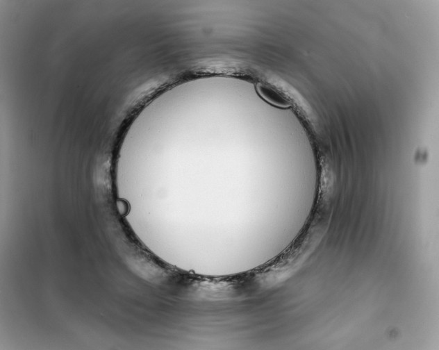 X0000101980403200808011104