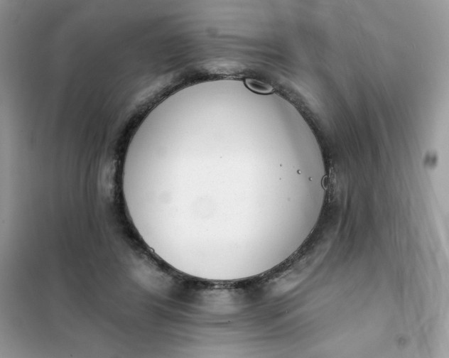 X0000101980404200808011104