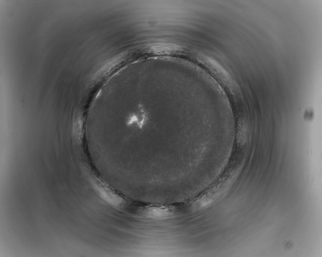 X0000101980405200808011104