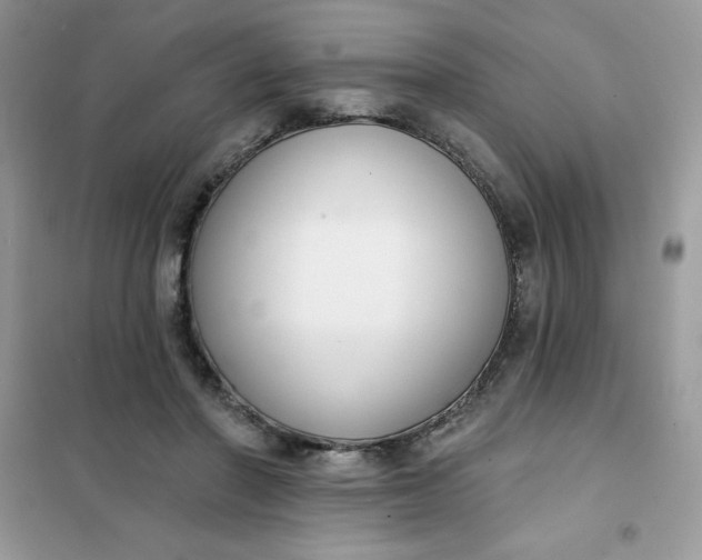 X0000101980406200808011104