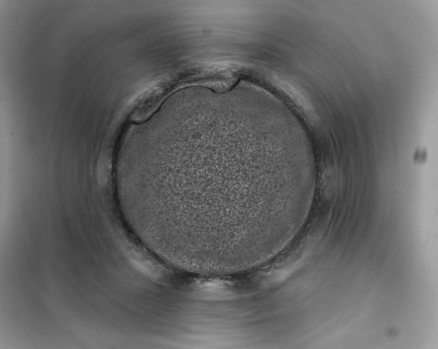 X0000101980407200808011104