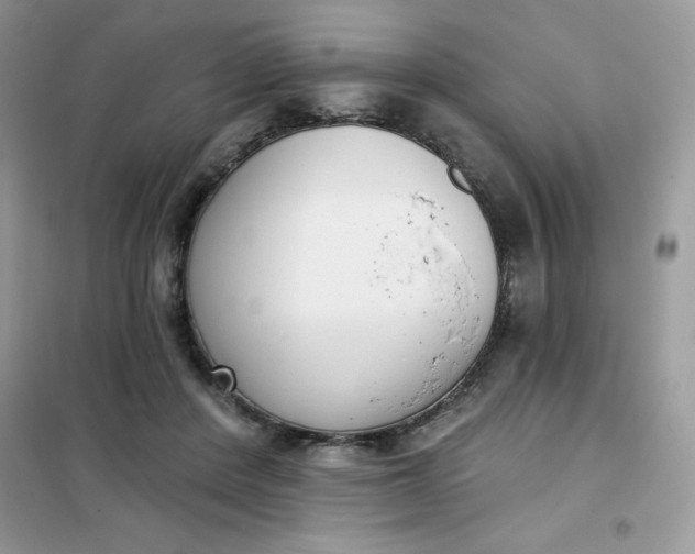 X0000101980408200808011104