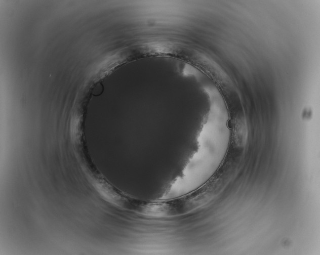 X0000101980410200808011104