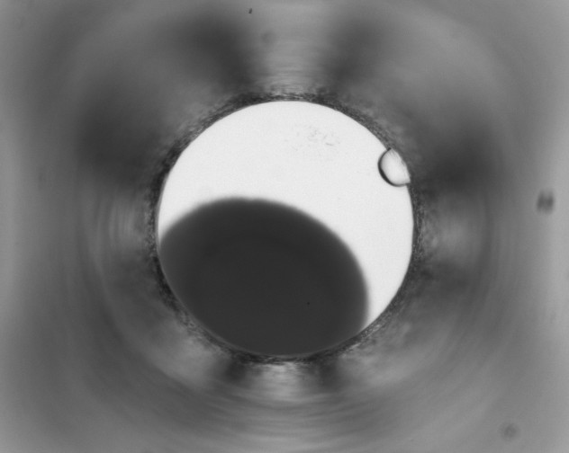 X0000101980411200808011104