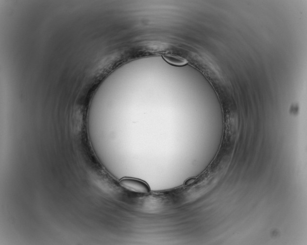 X0000101980412200808011104