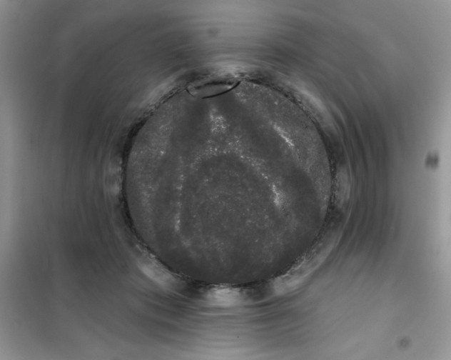 X0000101980413200808011104