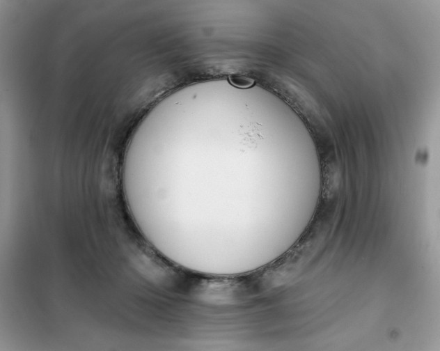 X0000101980414200808011104