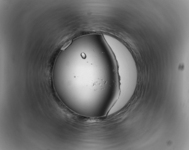 X0000101980415200808011104