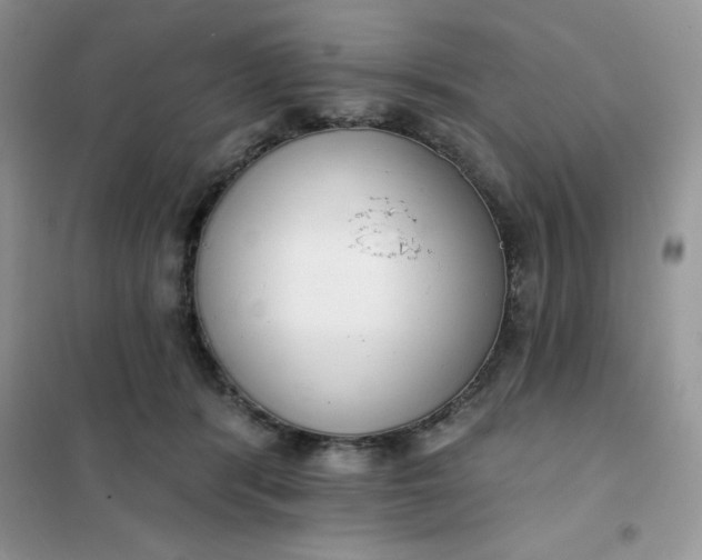 X0000101980416200808011104