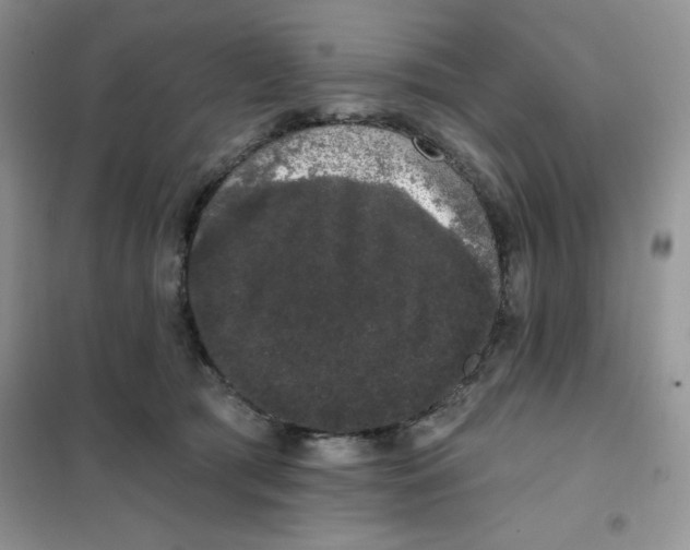 X0000101980417200808011104