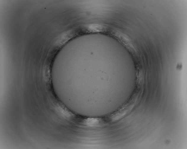 X0000101980418200808011104