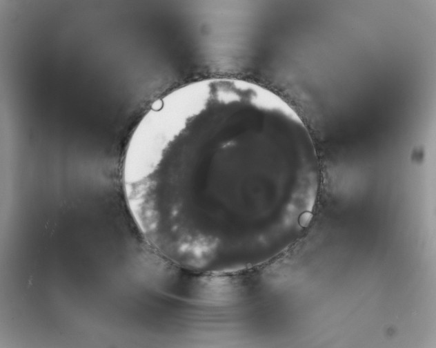 X0000101980419200808011104