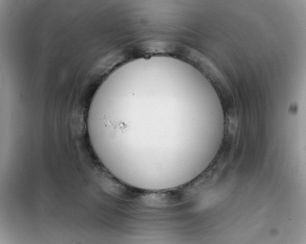 X0000101980422200808011104