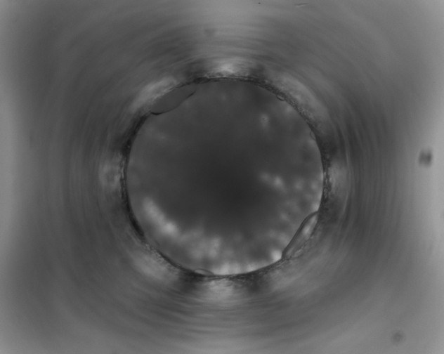 X0000101980423200808011104