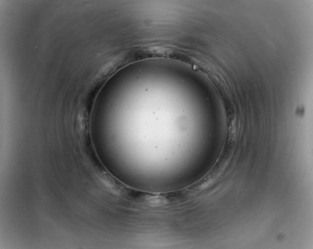 X0000101980424200808011104