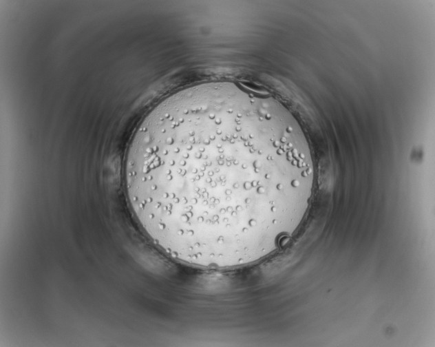 X0000101980425200808011104