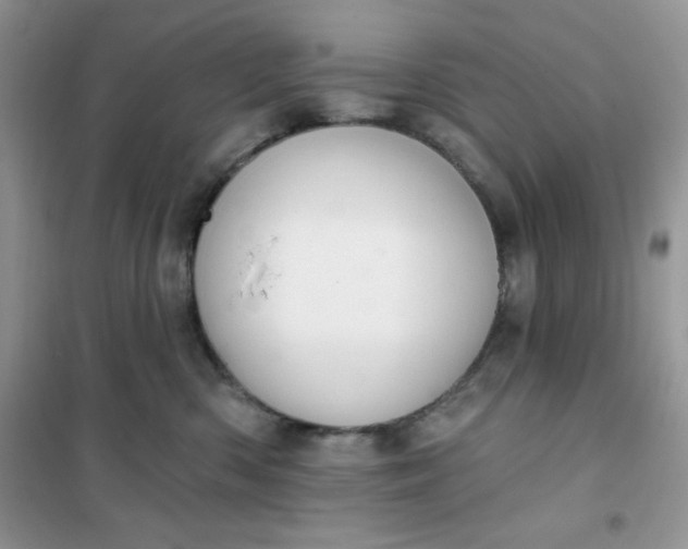 X0000101980426200808011104