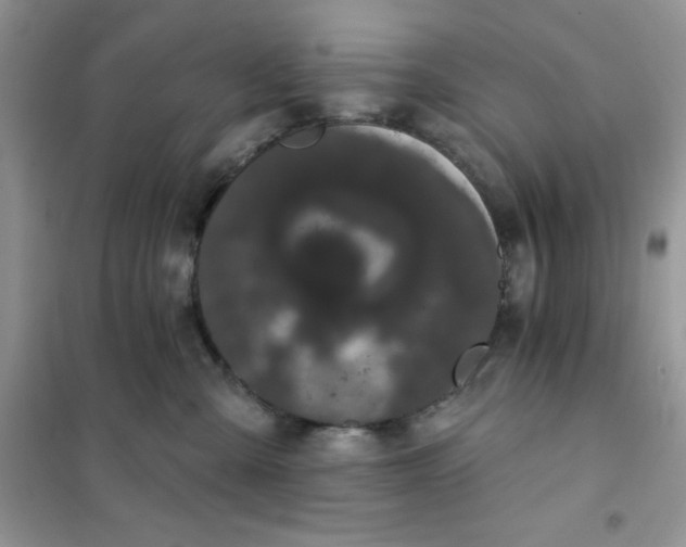 X0000101980427200808011104