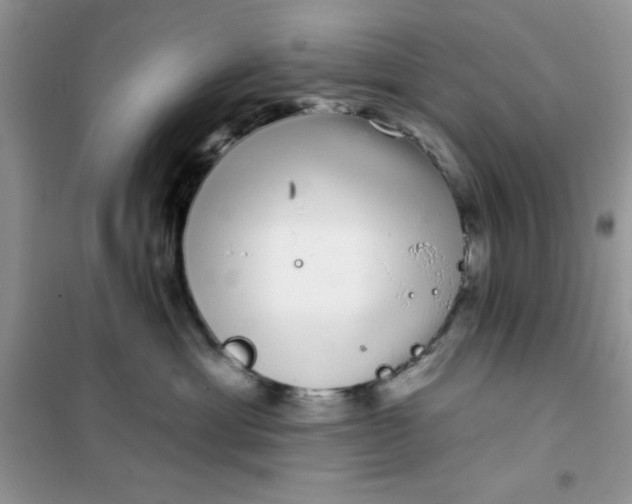 X0000101980429200808011104