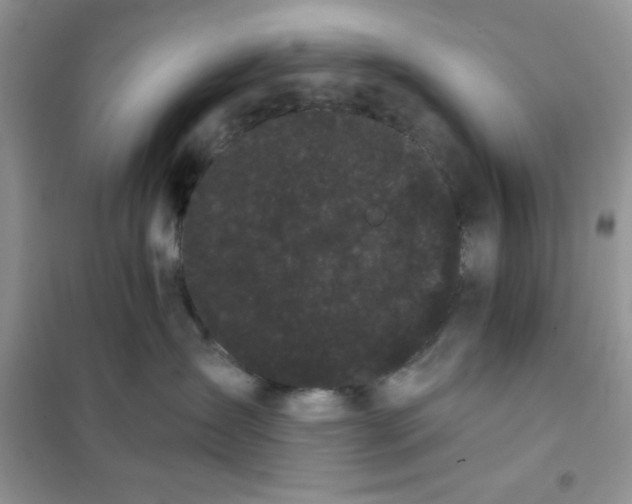 X0000101980431200808011104