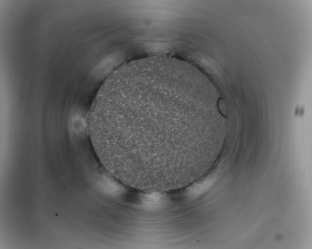 X0000101980432200808011104