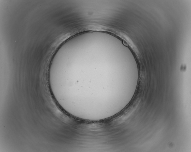 X0000101980433200808011103