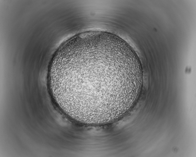 X0000101980434200808011103