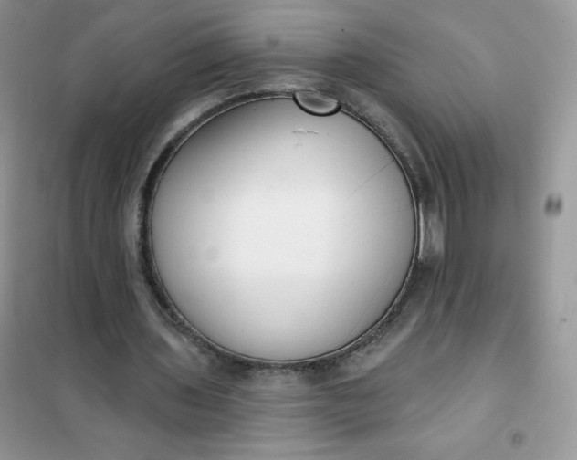 X0000101980435200808011103